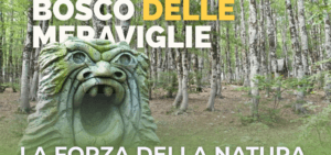 Bosco delle Meraviglie – Natura che incanta