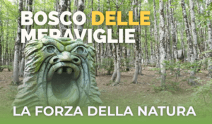 Bosco delle Meraviglie: sentieri magici tra laghi e foreste alpine