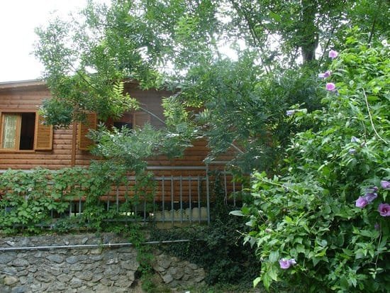 Camping San Michele: natura incontaminata e prezzi competitivi in %location% (2025)