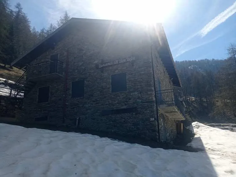Scopri Alpe Toglie: trekking immersi nella natura incontaminata
