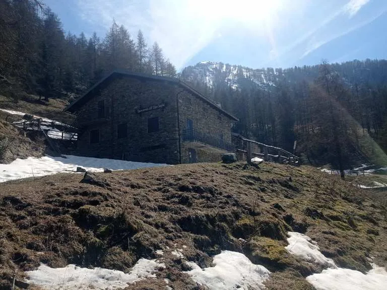 Scopri Alpe Toglie: trekking immersi nella natura incontaminata