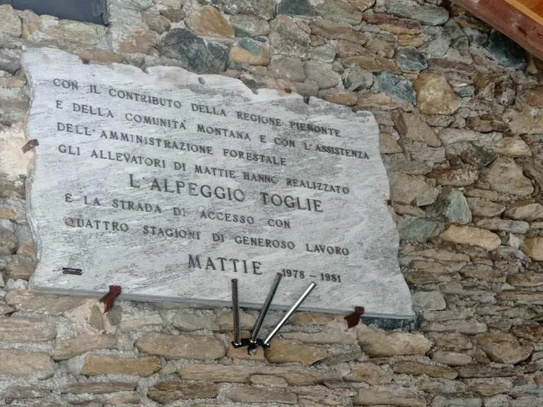 Scopri Alpe Toglie: trekking immersi nella natura incontaminata