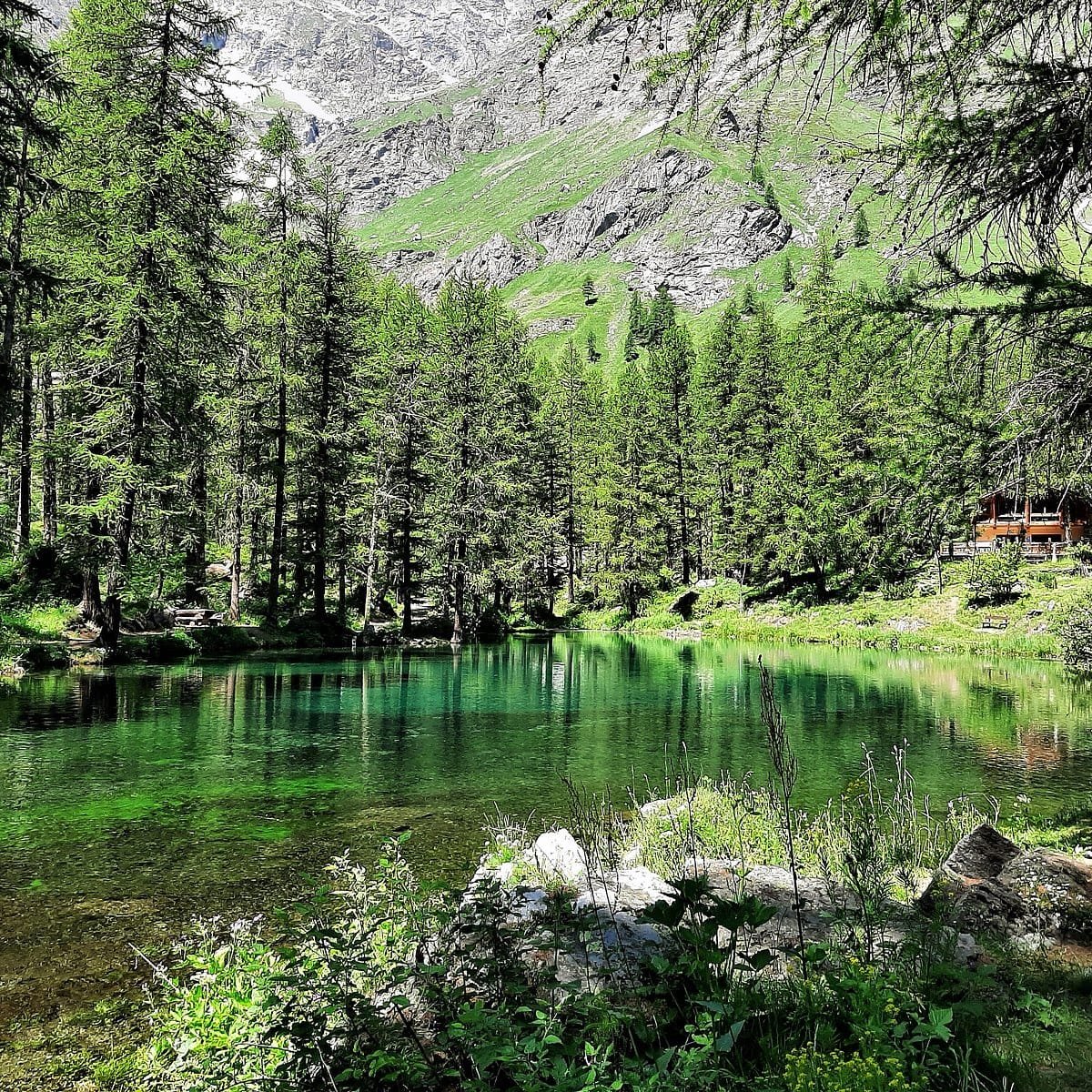 Esplora Lago Pellaud: Il Paradiso dell'Escursionismo Aggiornato 2025 a %location%