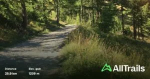 Scopri il Passo della Mulattiera Sud: panorami mozzafiato e natura incontaminata