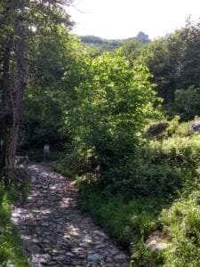 Mulattiera per la Sacra di San Michele: guida completa al sentiero storico