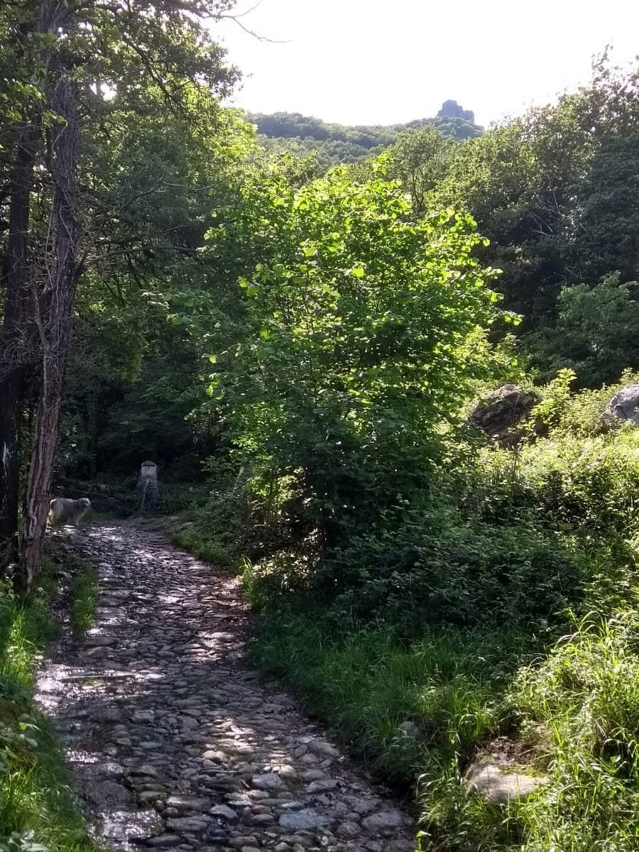 Scopri l'antica mulattiera per la Sacra di San Michele: un'esperienza indimenticabile