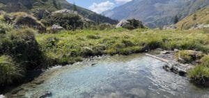 Sorgenti del Lys: scopri le acque cristalline nel cuore della natura