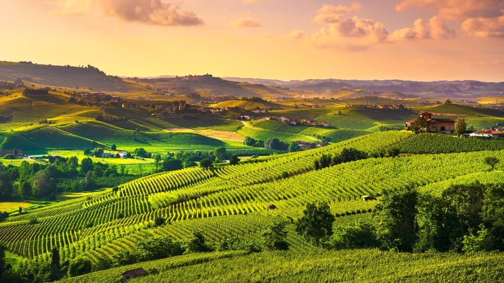 Passeggiate in Piemonte: 5 Sentieri Imperdibili 2025