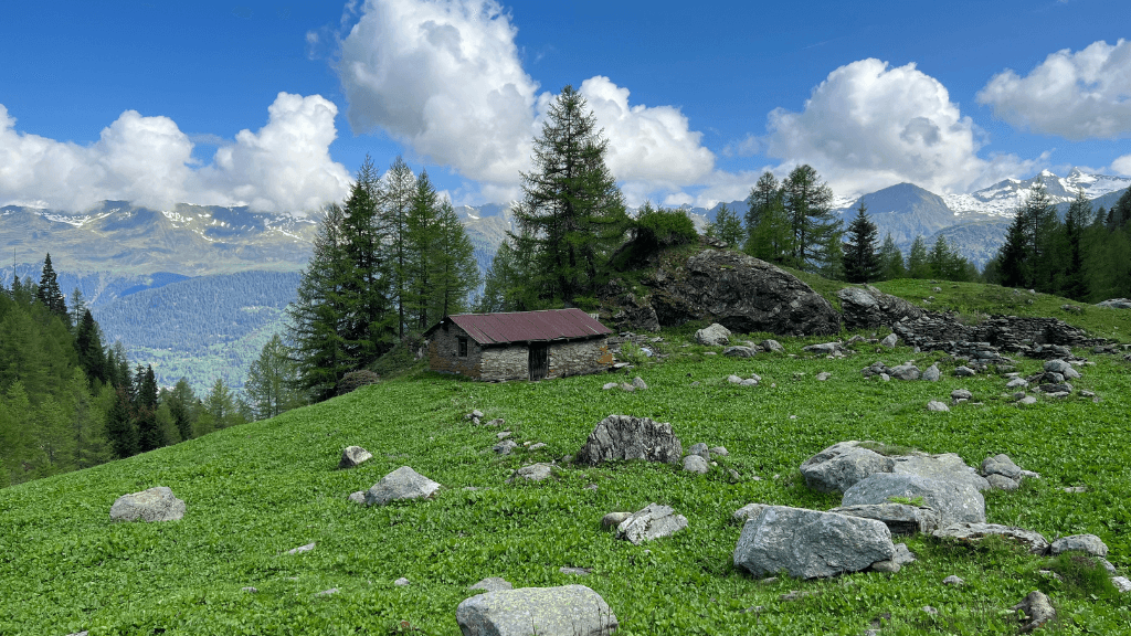 Escursioni Cuneo: 5 Percorsi Imperdibili del 2025