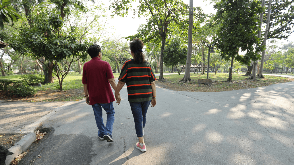 Passeggiate Novara: I 5 Migliori Sentieri e Percorsi 2025