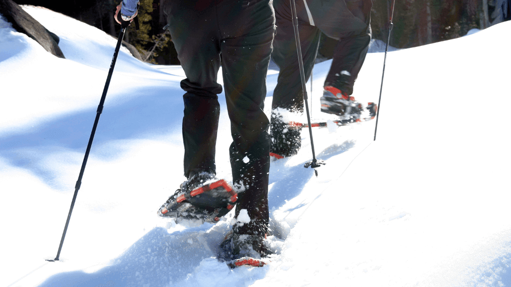Attacco Per Ciaspole WOLF Per Softboot Da Snowboard – Paio Da 360 G, Con Cinghie Per Tallone E Collo Del Piede, Adatto A Scarpe 24-35 Cm