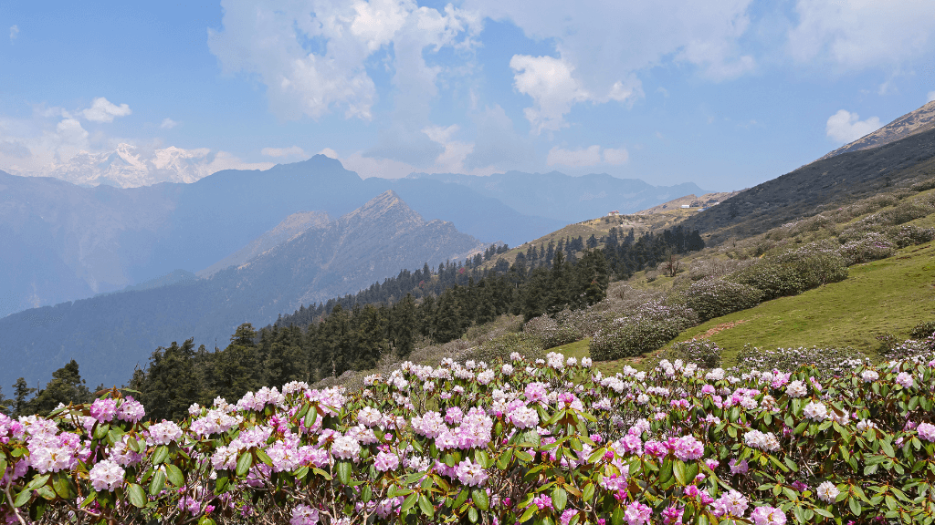 Trekking Val Borbera: 5 Escursioni Imperdibili del 2025