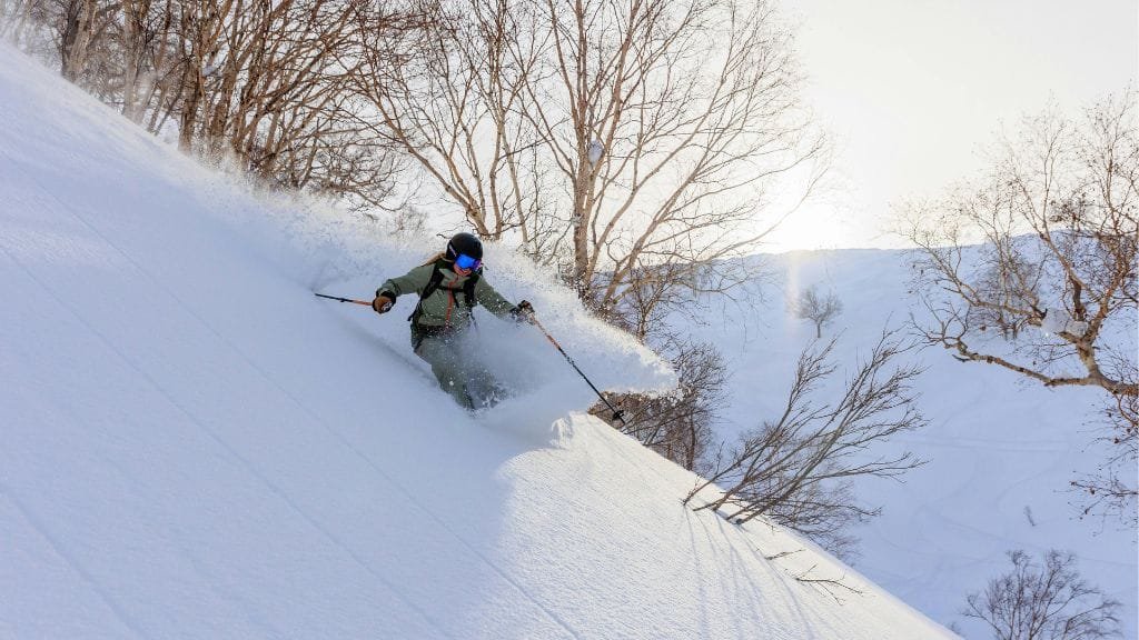 sciare in neve fresca