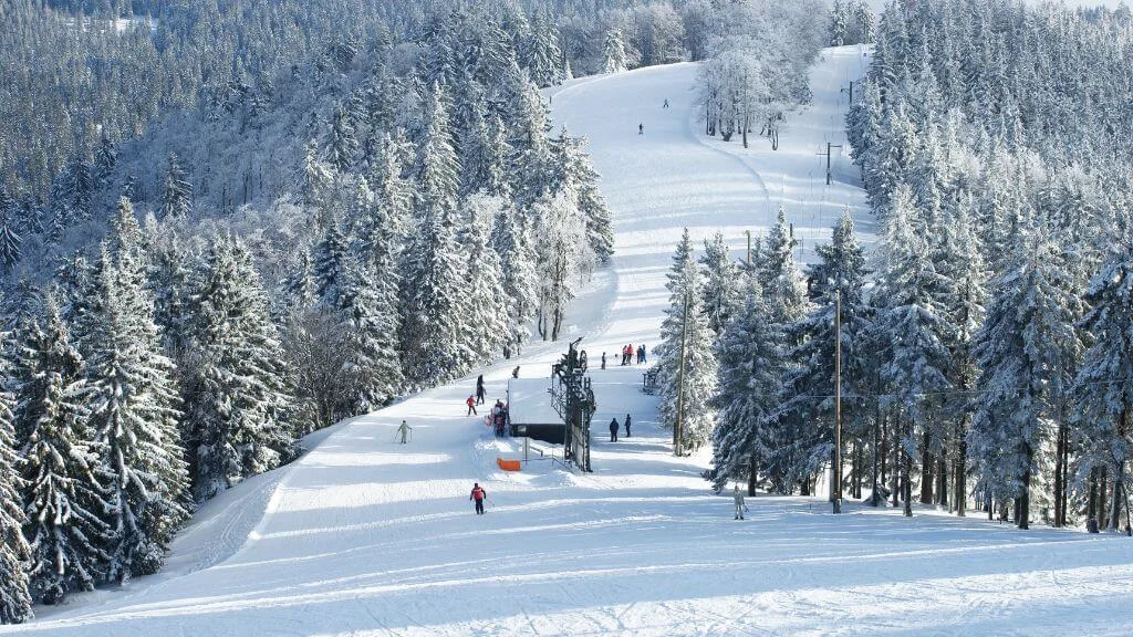 Impianti Sciistici Trentino Alto Adige | Top 5 Comprensori