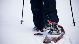 ciaspolate a courmayeur