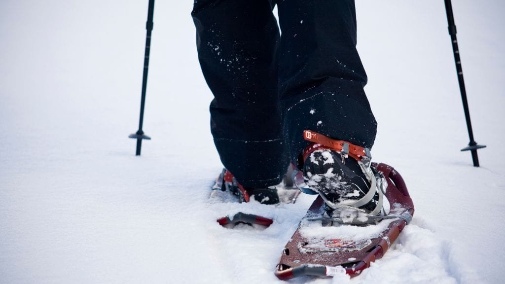 ciaspolate a courmayeur