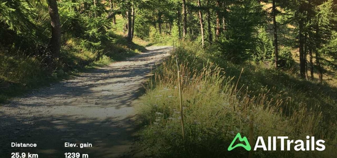 Scopri il Passo della Mulattiera Sud: panorami mozzafiato e natura incontaminata